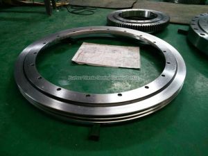 Slewing Bearing