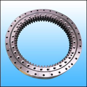 Slewing Bearings