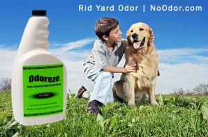 ODOREZE Natural Yard & Concrete Odor Eliminator Spray: Makes 64 Gal