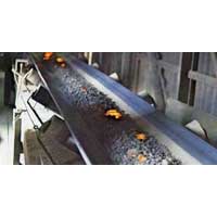 Heat Resistant Conveyor