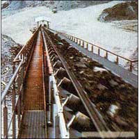 Oil Resistant Conveyor