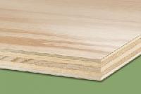 Plywood Veneers