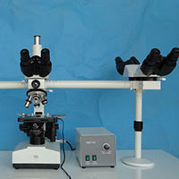 Penta Head Microscope (multi Viewing)