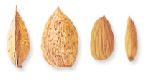 Almond Products