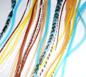 Peacock & Ostrich Feathers