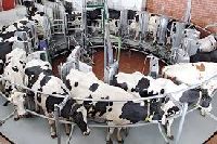 dairy farm equipment