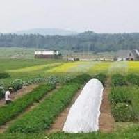 agriculture crop cover