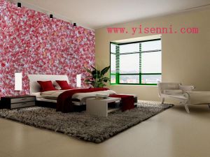New Business Opportunity For You, YISENNI Wall Coating