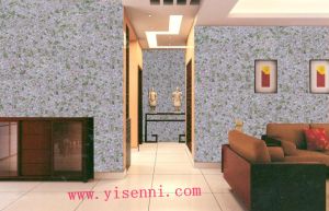 The New Decorative Material –yisenni Wall Coating
