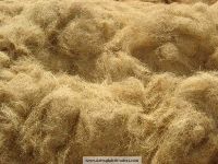 bristle coir fibre