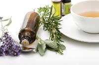 herbal veterinary medicine