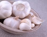 fresh garlic