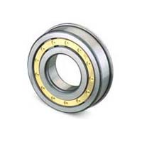 Flanged Outer Cylinder Roller Bearings
