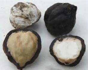 Confectionery & Bakery Products