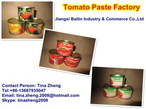 tomato paste,  Packaging Type : Tin Container