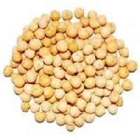 Chickpeas Seed