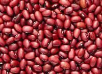 dark red kidney beans