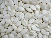 Snow White Pumpkin Seed