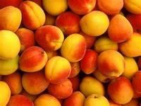Yellow Peaches