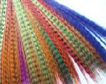 Hot colors Feathers for hair extension