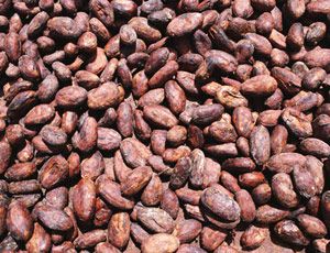 cocoa beans