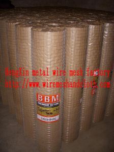 Galvanized Wire Mesh