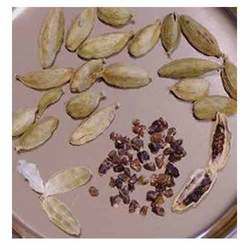 Cardamoms