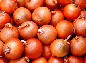 Onion
