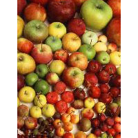 Apples Fruits,Pomegranate Fruits,Raisins