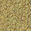 cumin seeds