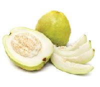 guava pulp