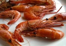 fresh shrimps