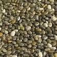chia seeds,  Packaging Type : Plastic Jar,  Plastic Packet