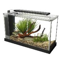 fish aquariums