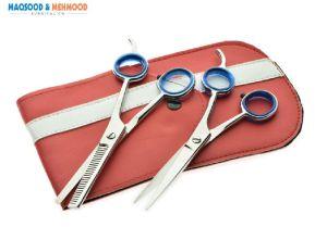 Salon & Beauty Equipment