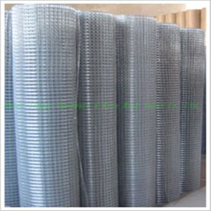 Welded Wire Mesh