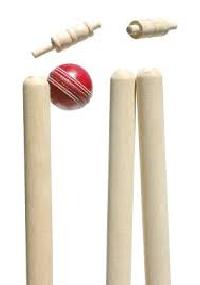 Cricket Stump