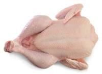 Halal Whole Frozen Chicken