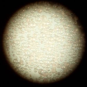 Hollow Glass Microspheres
