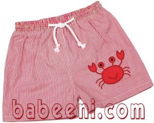 Baby Boy Smocked Swimwear