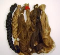 Human Hairs Human Hairs