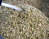 Cocoa Beans, Coffee Beans