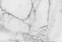 Arcadia Classic Marble Slab, Packaging Type : Light Grey with veins