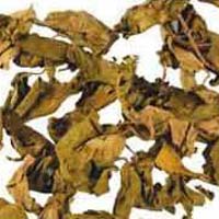 Dried Gurmar Leaves