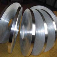 Stainless Steel Strips