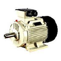 Electric Motor (415 Volts)