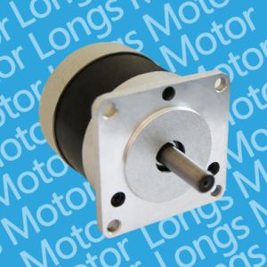 Longs Motor, Brushless DC Motor