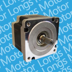 Longs Motor, Brushless DC Motor