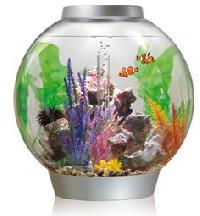 mini aquariums