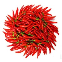 red chilli sauce